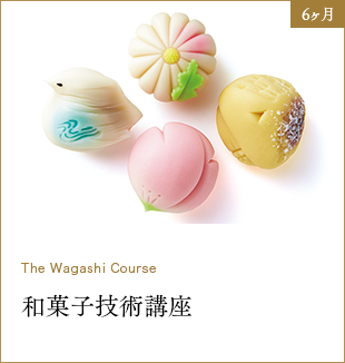 6ヶ月 The Wagashi Course 和菓子技術講座